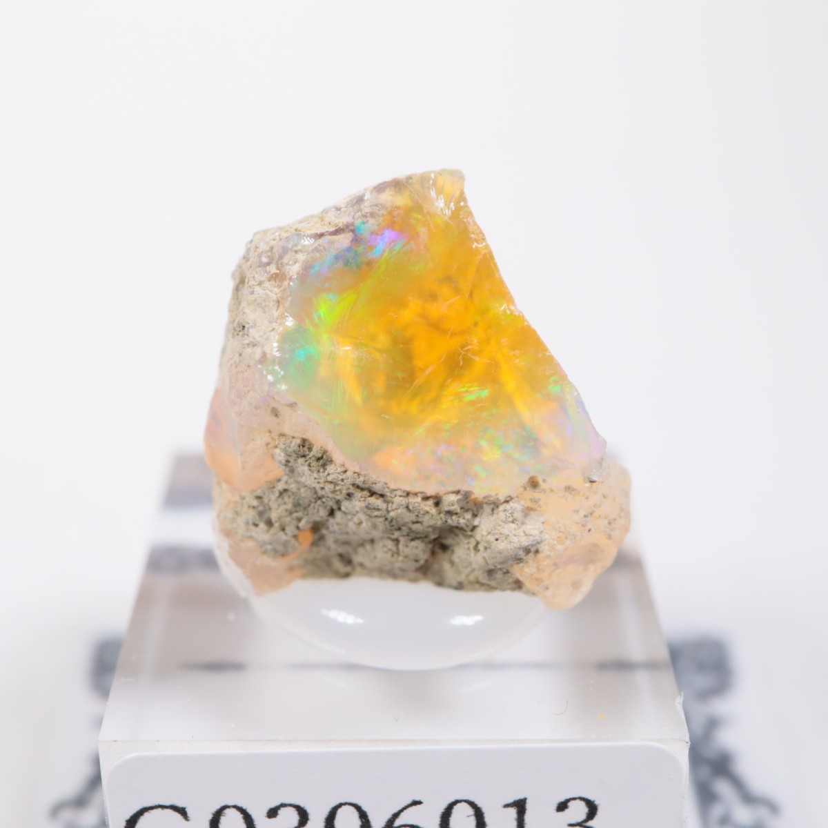 �������ԥ��� ���ѡ���