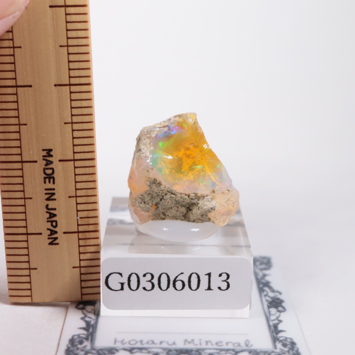 �������ԥ��� ���ѡ���