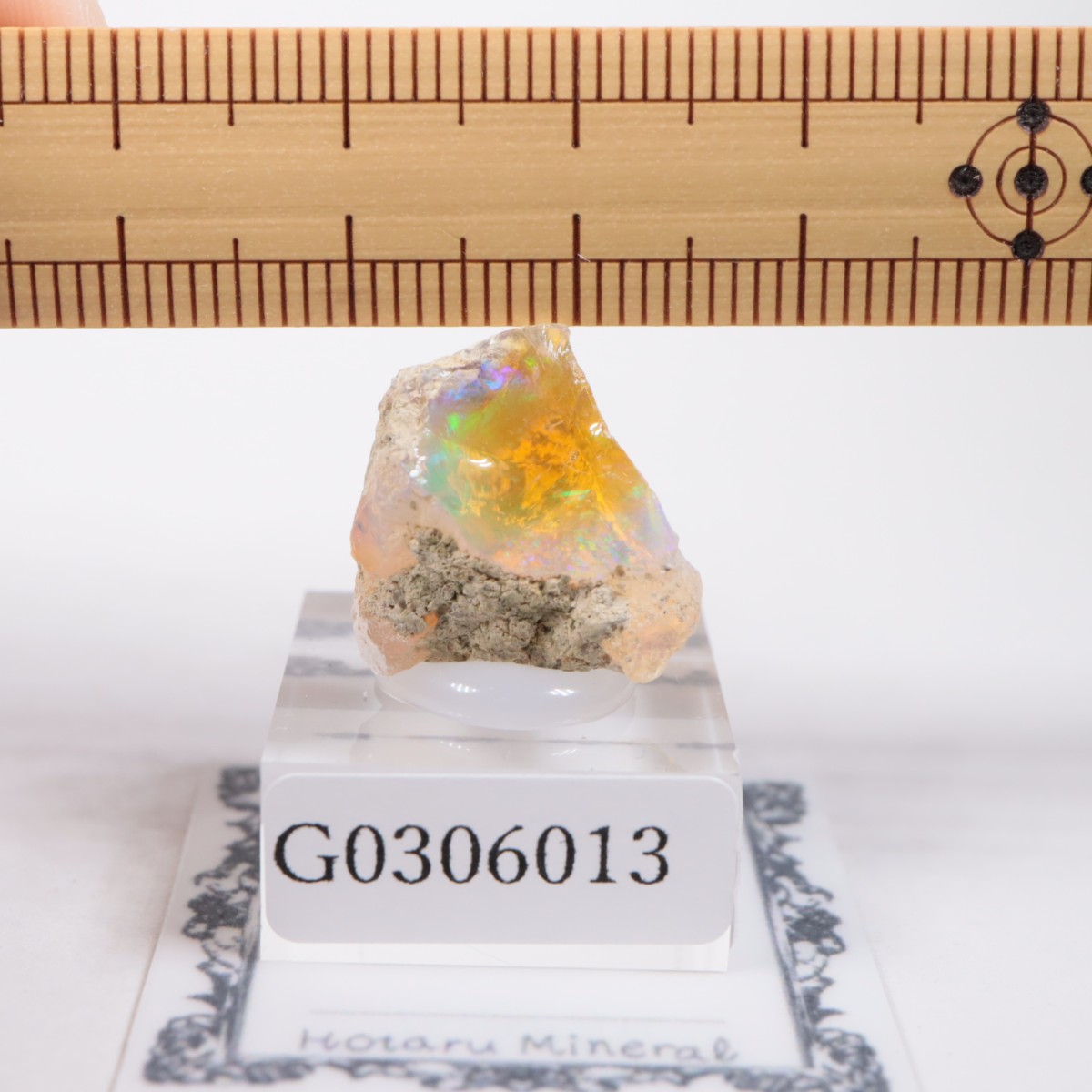 �������ԥ��� ���ѡ���