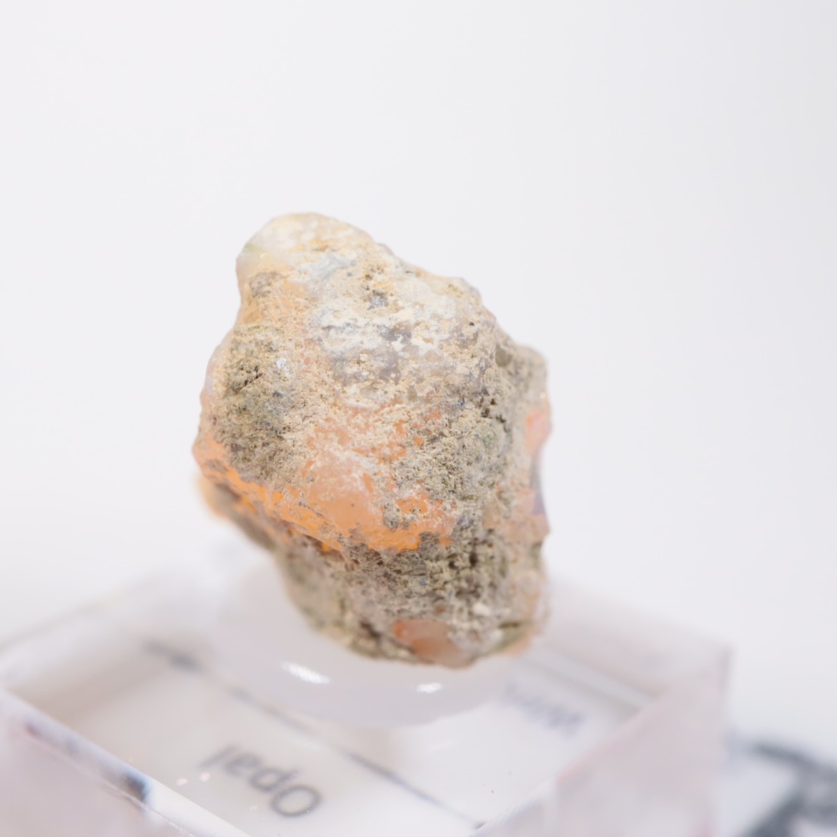 �������ԥ��� ���ѡ���