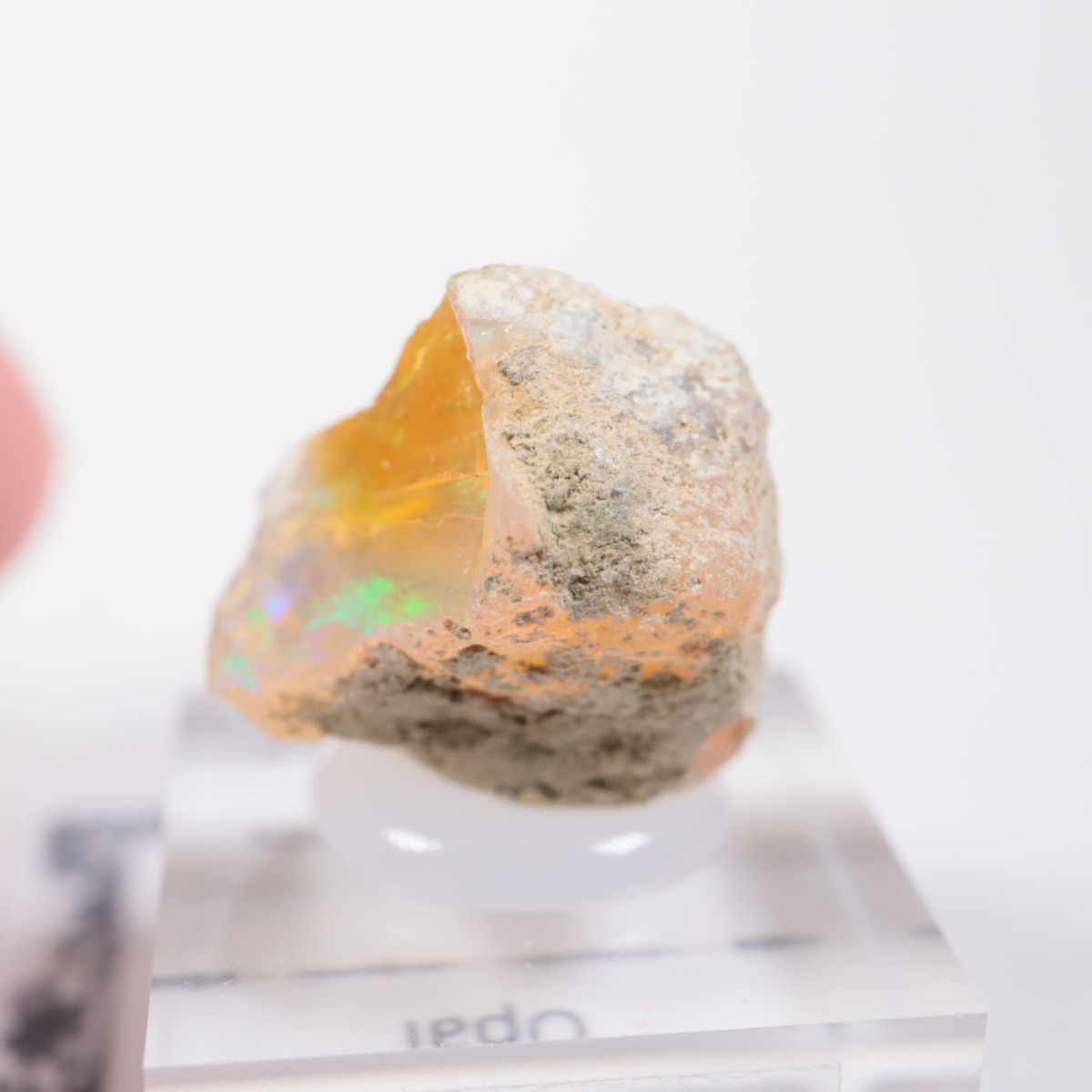 �������ԥ��� ���ѡ���