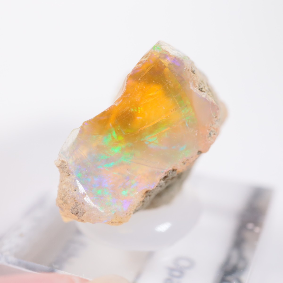 �������ԥ��� ���ѡ���