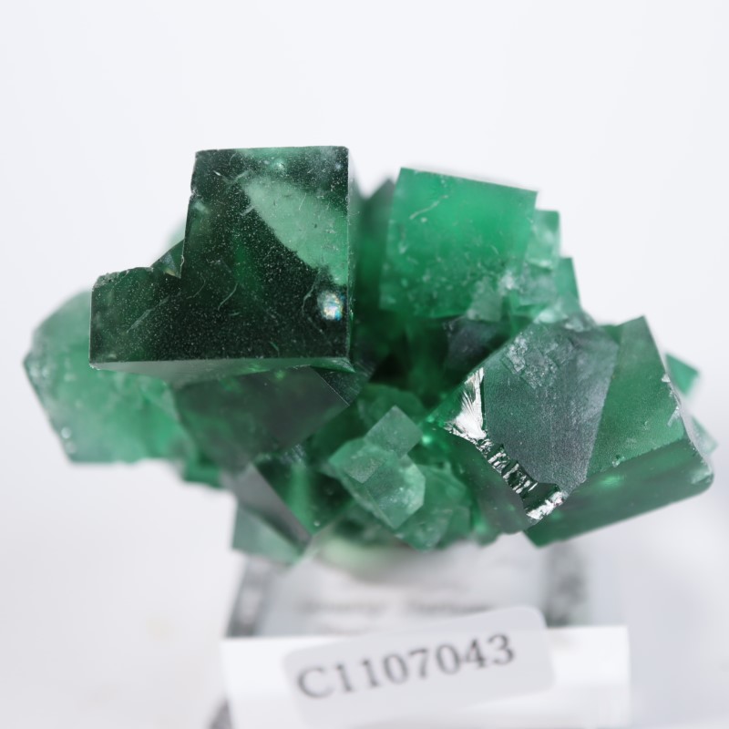 Diana Maria鉱山フローライトfluorite 鉱物鉱物標本原石