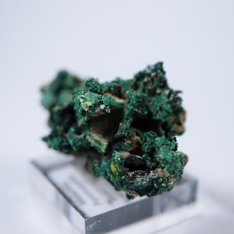 �������ȥ�ꥢ�����ޥ饫���ȡ��ѥ������ե�����