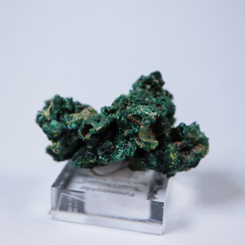 �������ȥ�ꥢ�����ޥ饫���ȡ��ѥ������ե�����