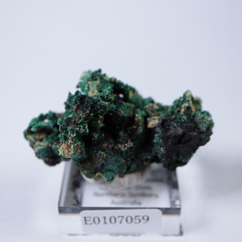 �������ȥ�ꥢ�����ޥ饫���ȡ��ѥ������ե�����