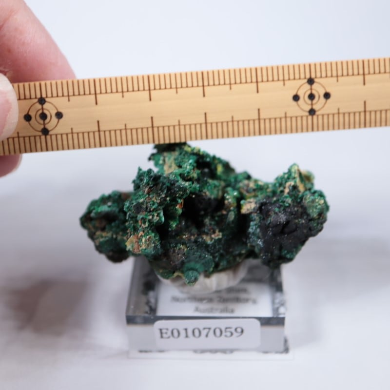 �������ȥ�ꥢ�����ޥ饫���ȡ��ѥ������ե�����