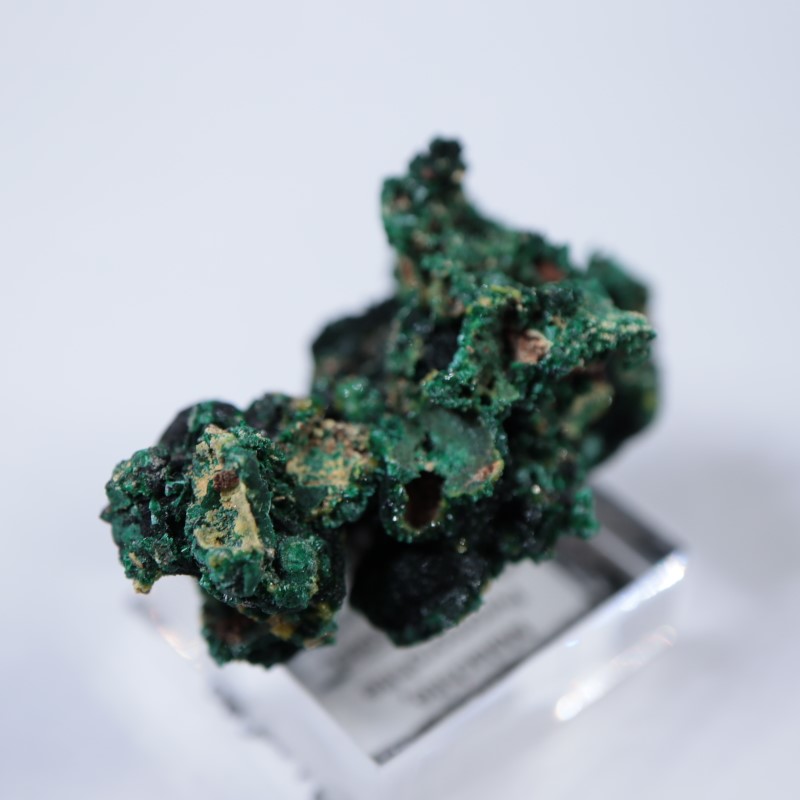 �������ȥ�ꥢ�����ޥ饫���ȡ��ѥ������ե�����