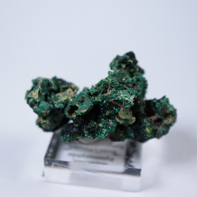 �������ȥ�ꥢ�����ޥ饫���ȡ��ѥ������ե�����