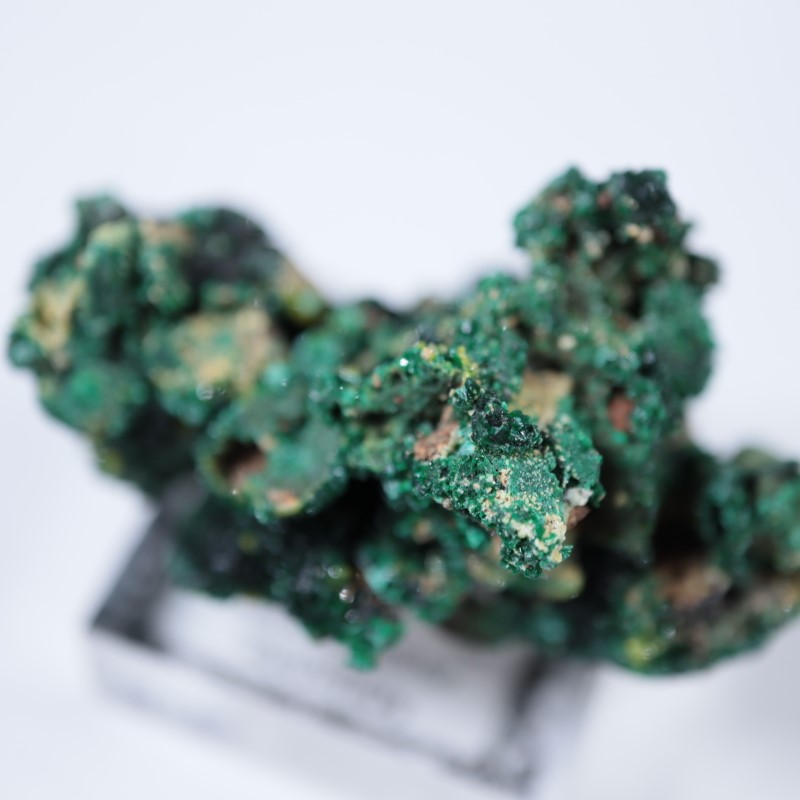 �������ȥ�ꥢ�����ޥ饫���ȡ��ѥ������ե�����