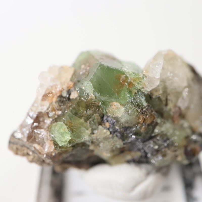 ����˥ҥ륺���������ͥå�