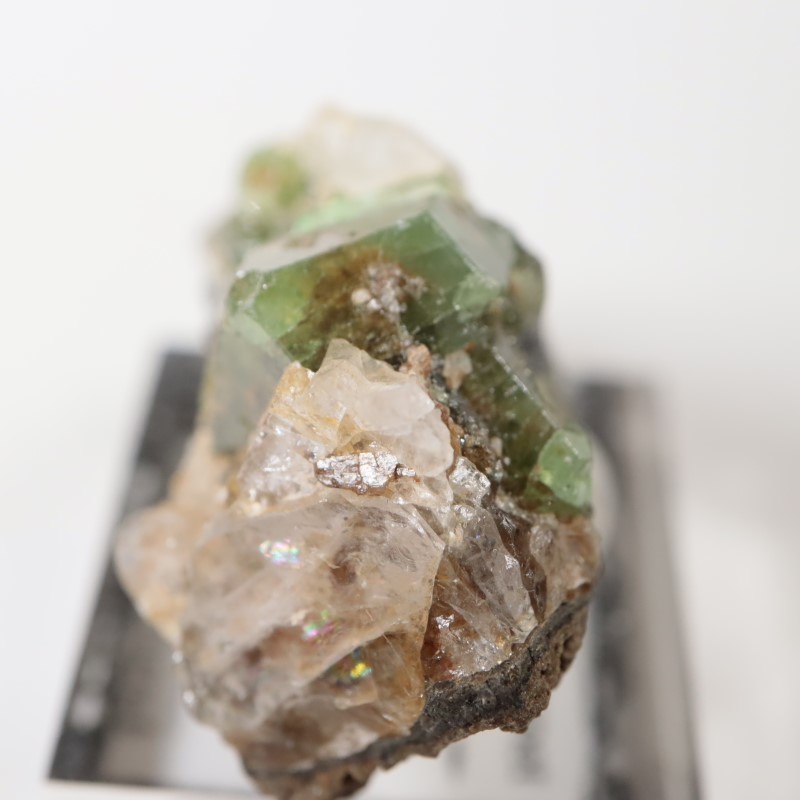 ����˥ҥ륺���������ͥå�