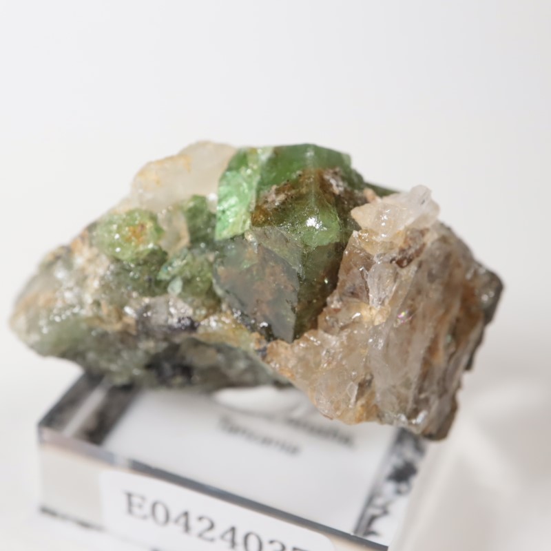 ����˥ҥ륺���������ͥå�