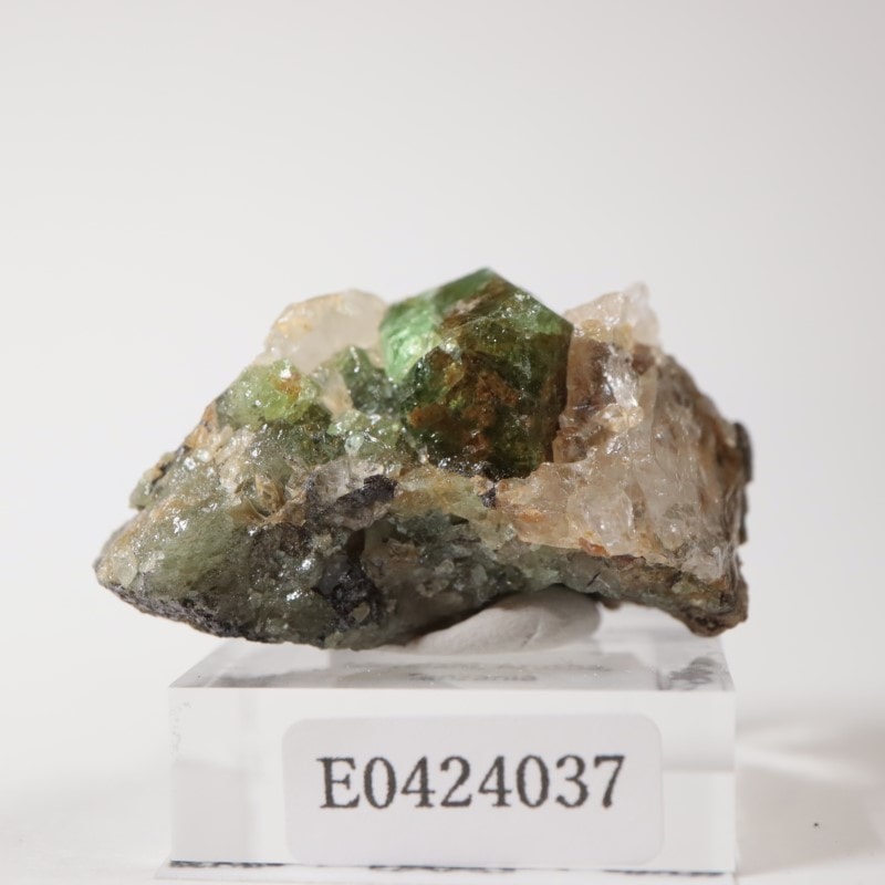 ����˥ҥ륺���������ͥå�