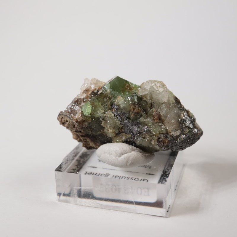 ����˥ҥ륺���������ͥå�