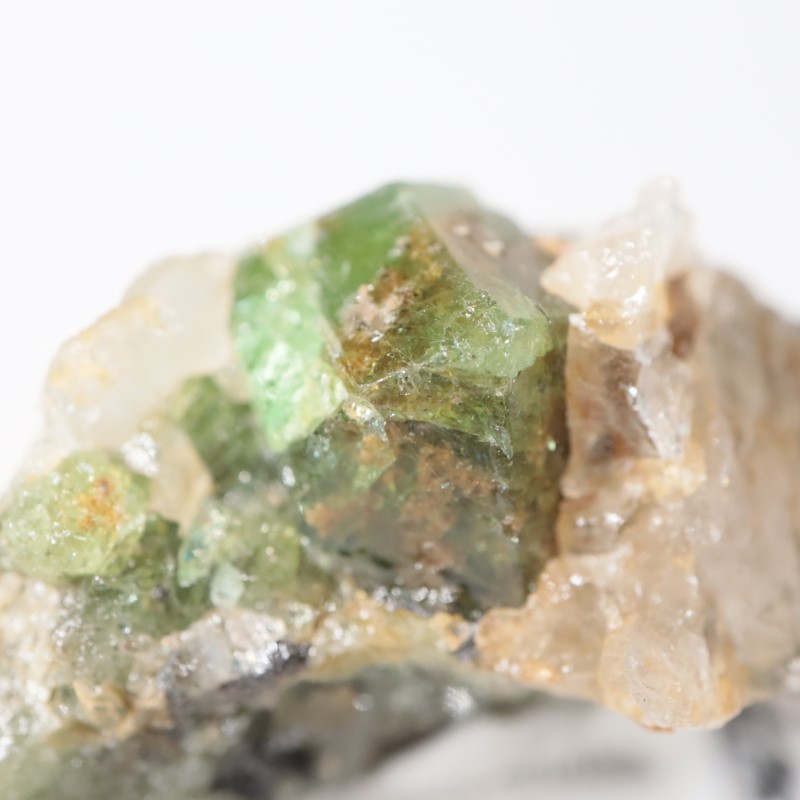 ����˥ҥ륺���������ͥå�