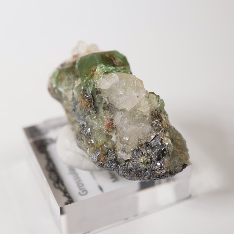 ����˥ҥ륺���������ͥå�