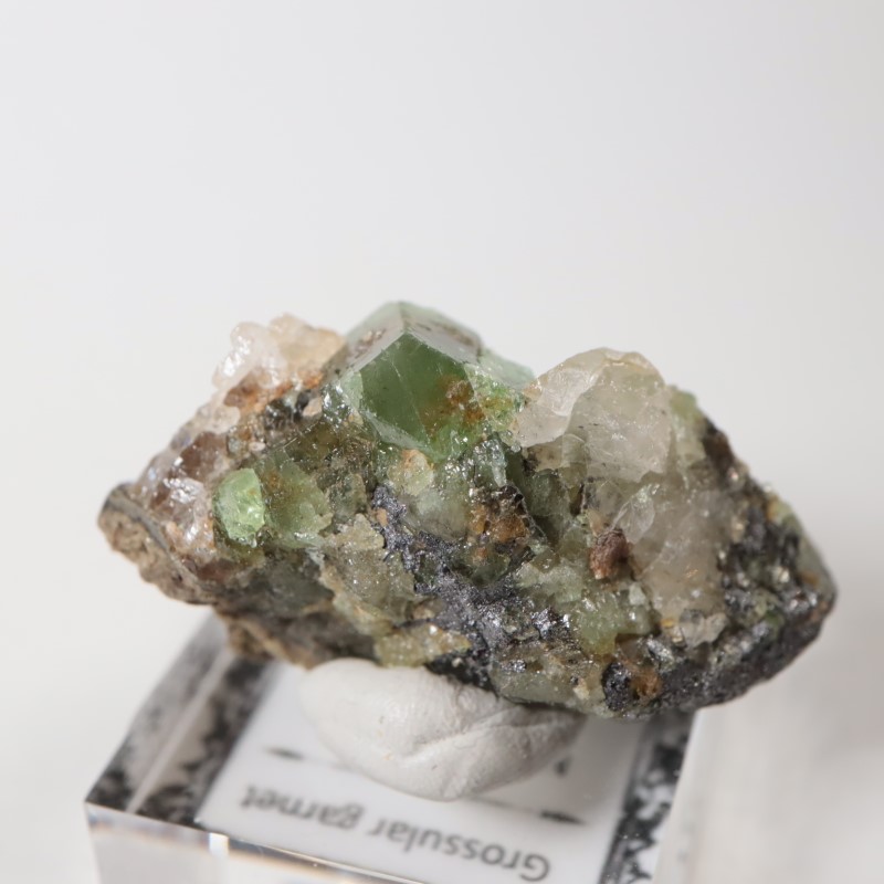 ����˥ҥ륺���������ͥå�