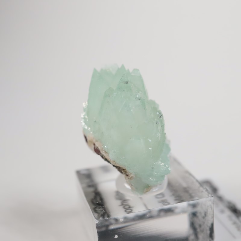Wagholiݥե饤