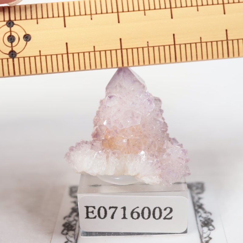 南アフリカ産 カクタス水晶 | 鉱物標本,カ行,クォーツ/水晶 | ほたるみ