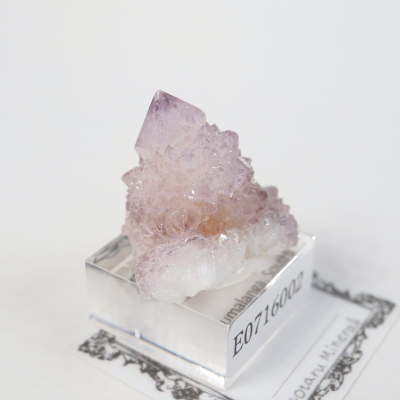 南アフリカ産 カクタス水晶 | 鉱物標本,カ行,クォーツ/水晶 | ほたるみ