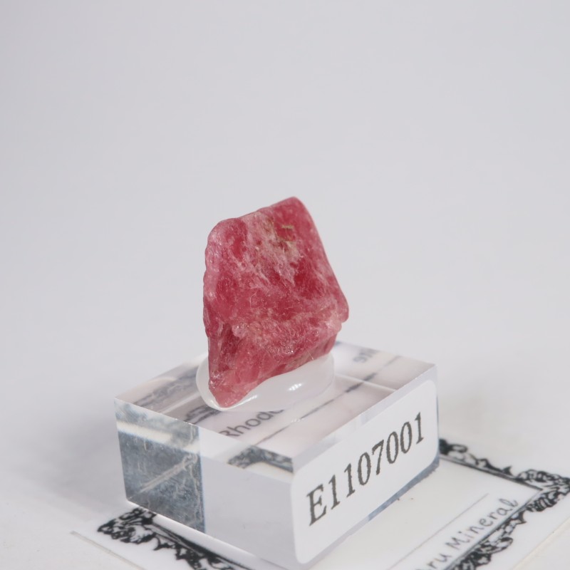 �֥饸�뻺�������ɥʥ���