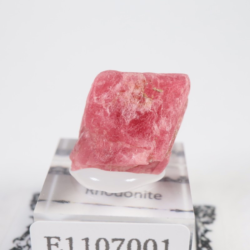 �֥饸�뻺�������ɥʥ���