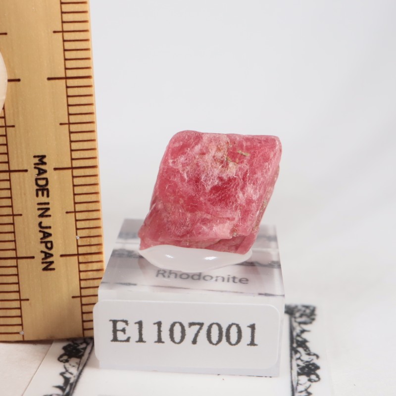 �֥饸�뻺�������ɥʥ���