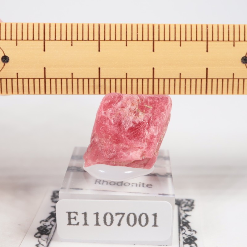 �֥饸�뻺�������ɥʥ���