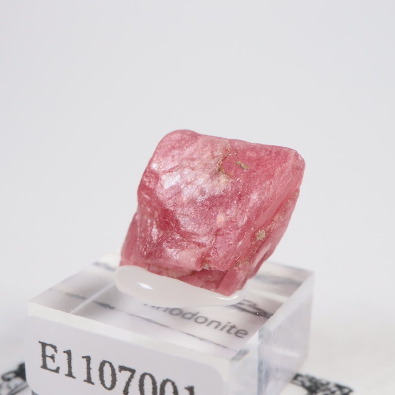 �֥饸�뻺�������ɥʥ���