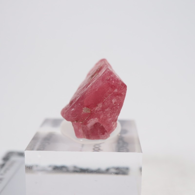 �֥饸�뻺�������ɥʥ���