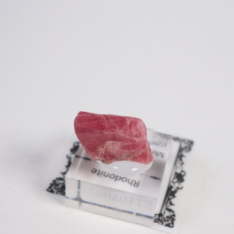 �֥饸�뻺�������ɥʥ���