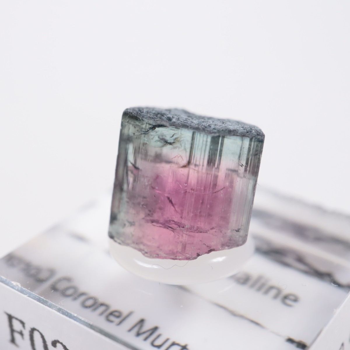 Coronel Murta�� �ȥ�ޥ��