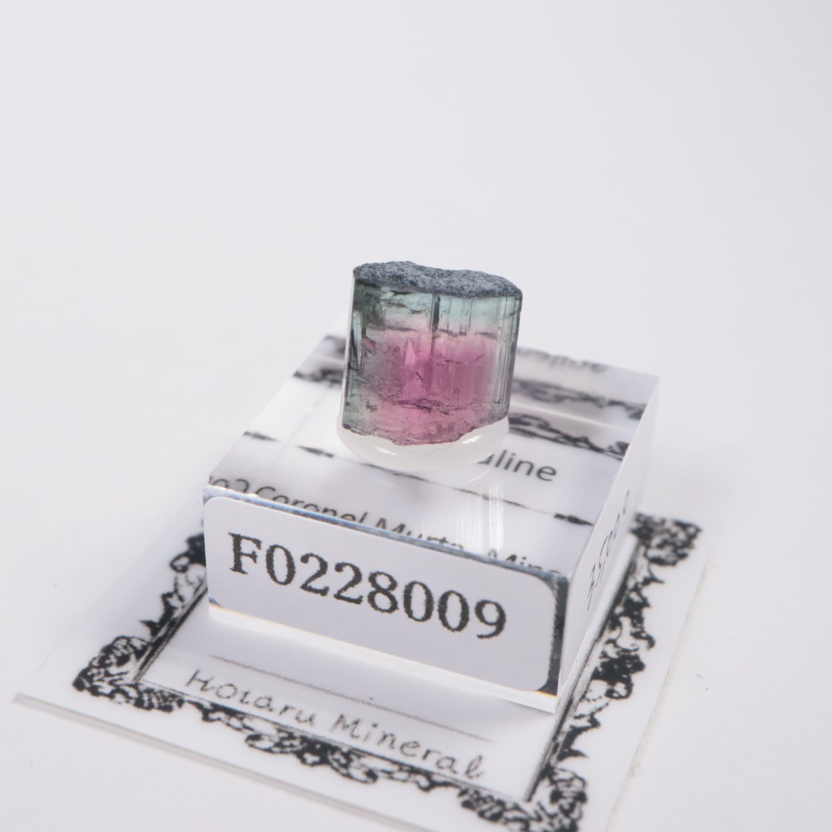 Coronel Murta�� �ȥ�ޥ��