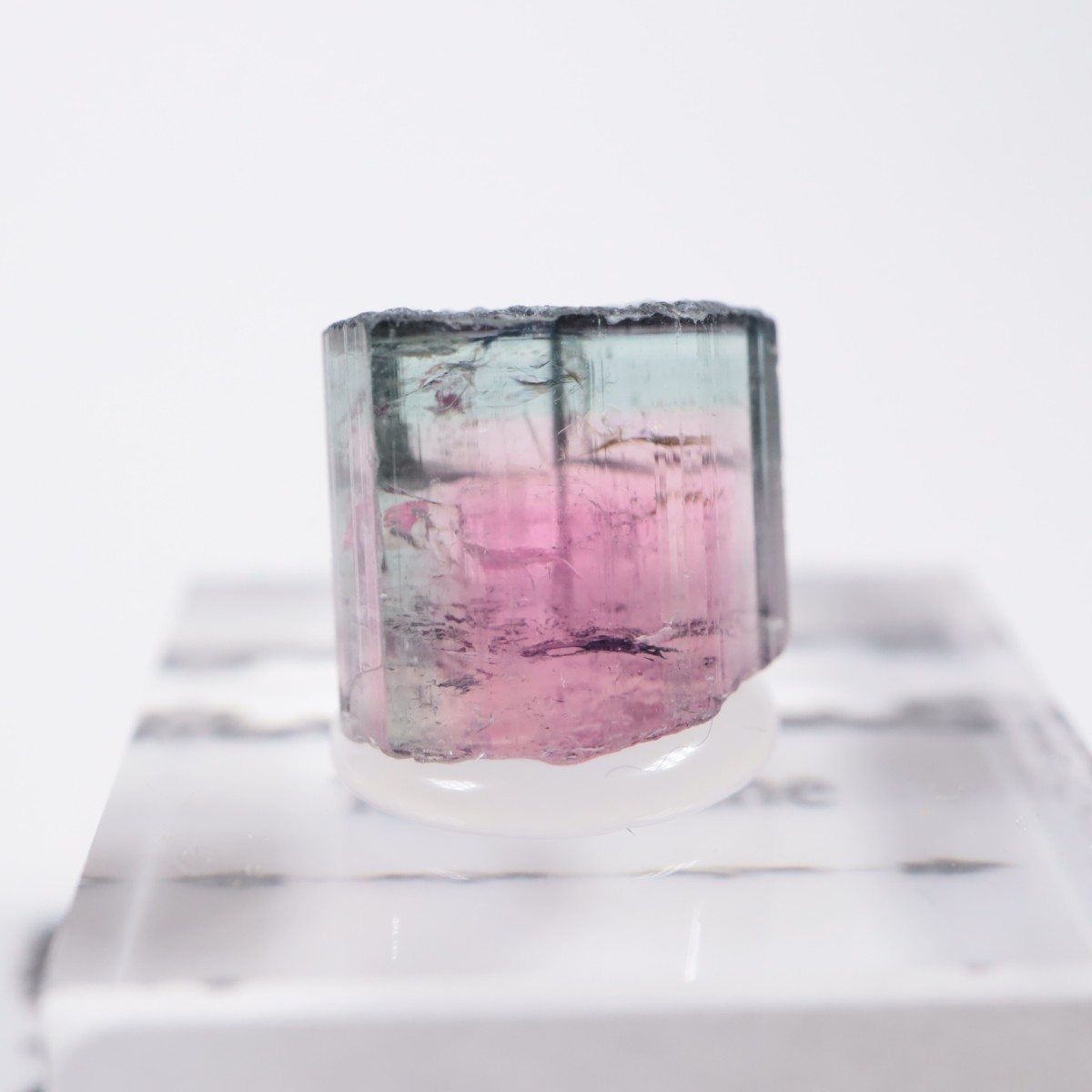 Coronel Murta�� �ȥ�ޥ��