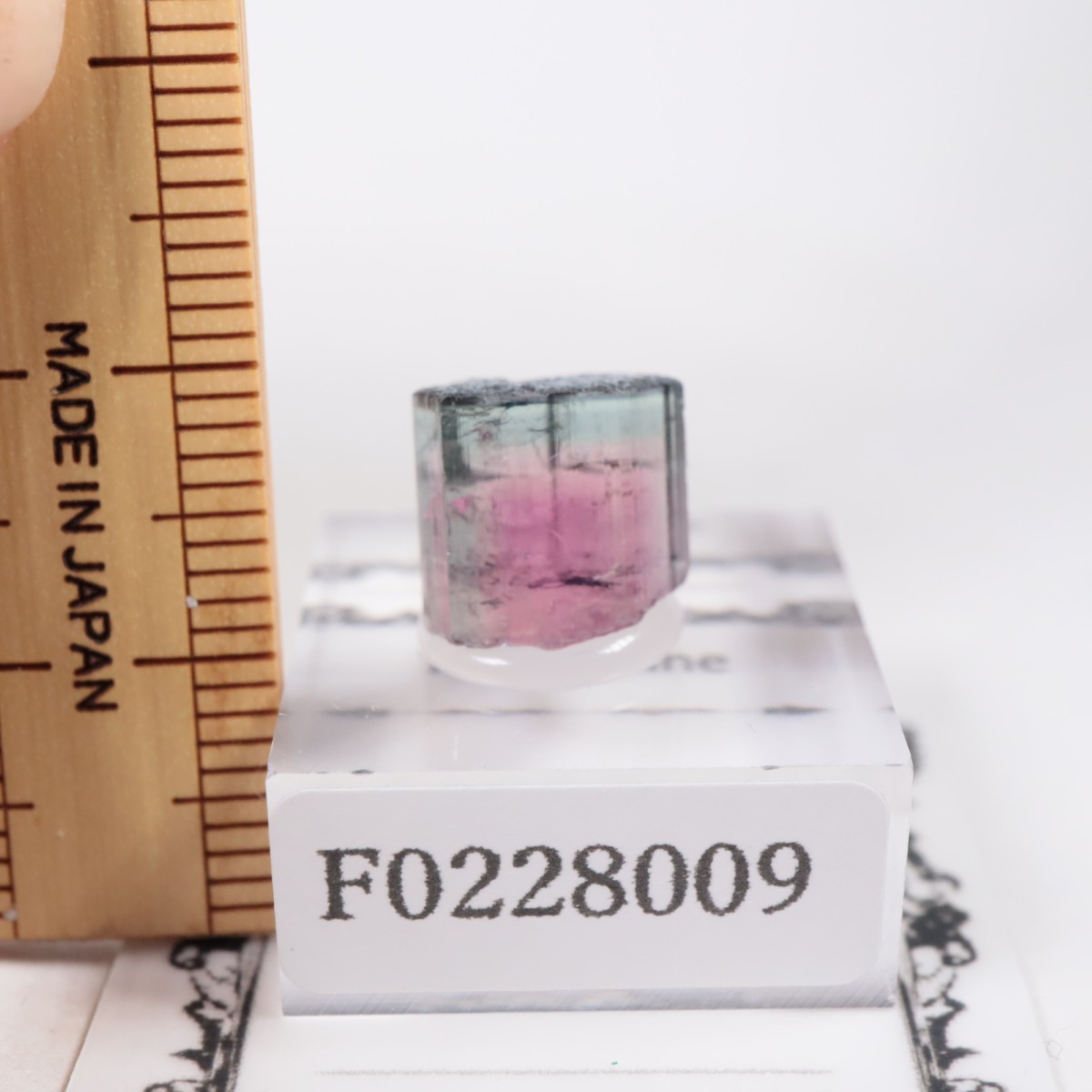 Coronel Murta�� �ȥ�ޥ��