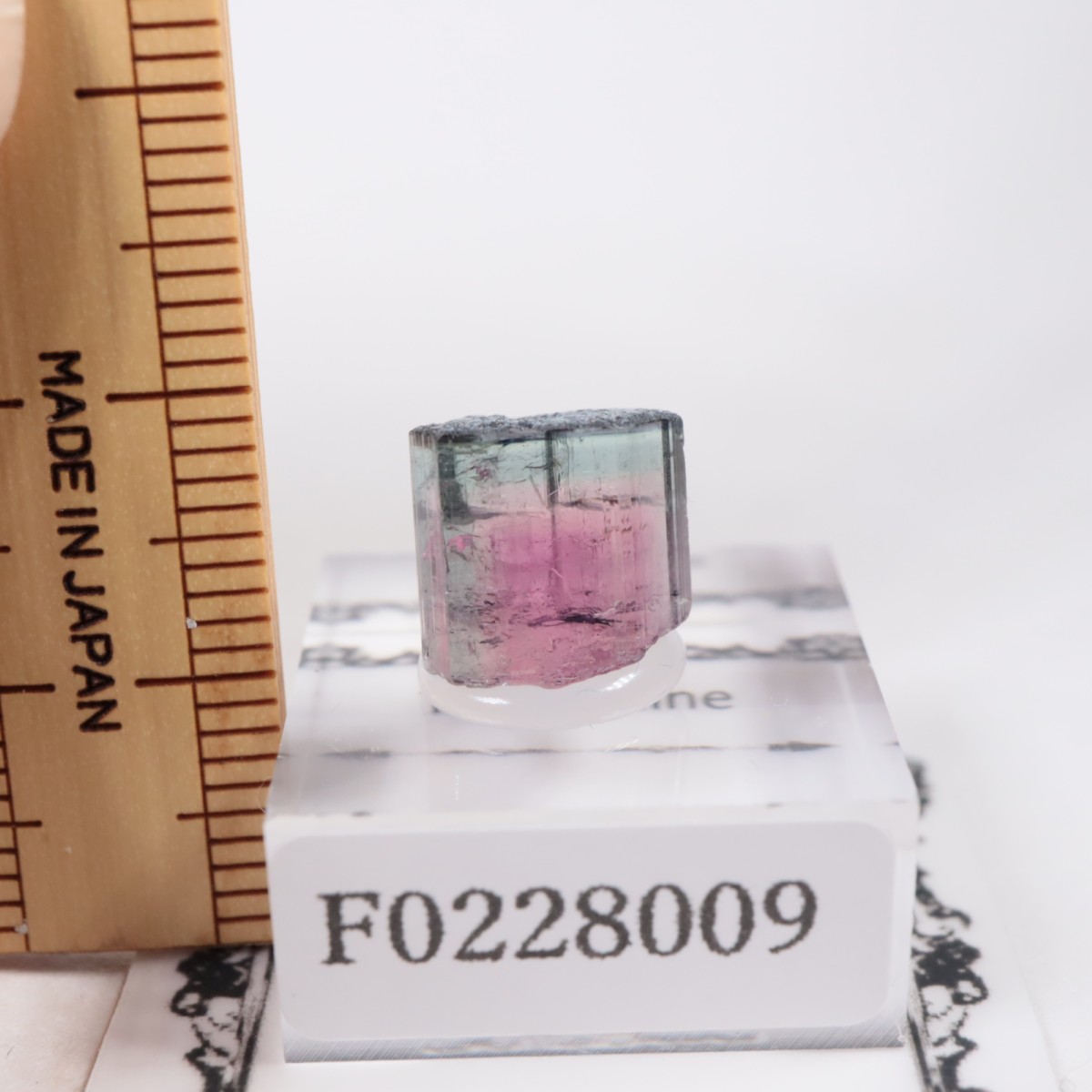 Coronel Murta�� �ȥ�ޥ��