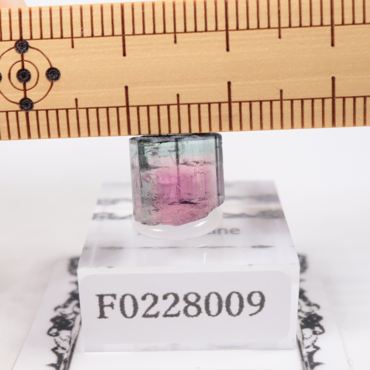 Coronel Murta�� �ȥ�ޥ��