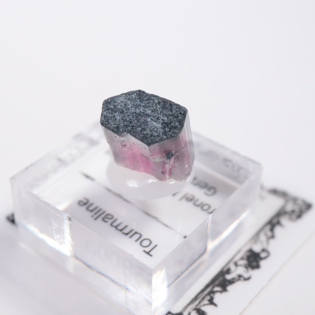 Coronel Murta�� �ȥ�ޥ��