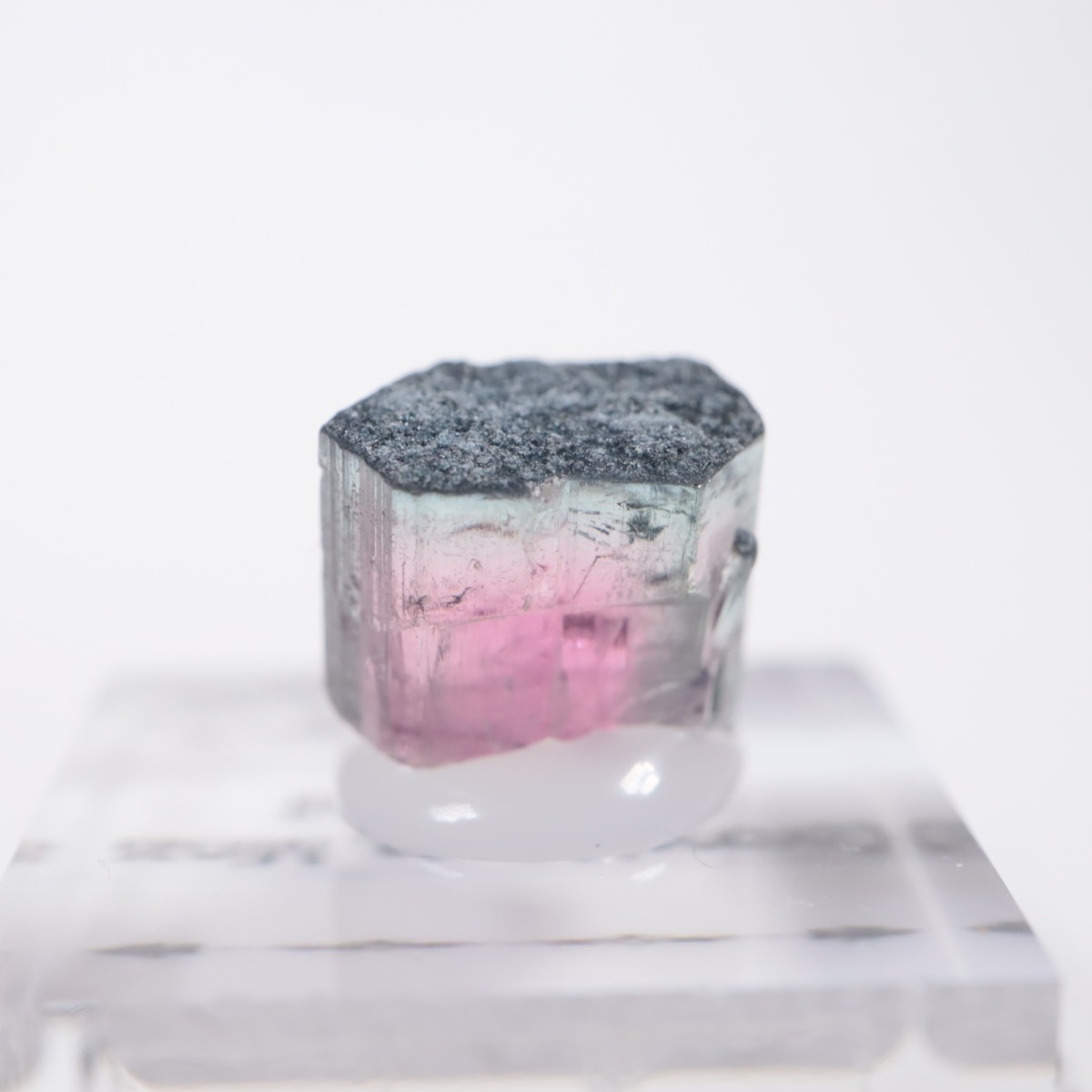 Coronel Murta�� �ȥ�ޥ��