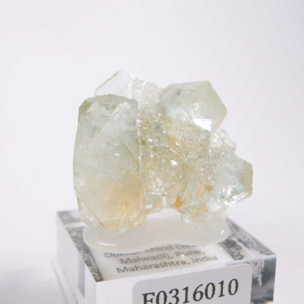 ����ɻ� ���ݥե��饤��