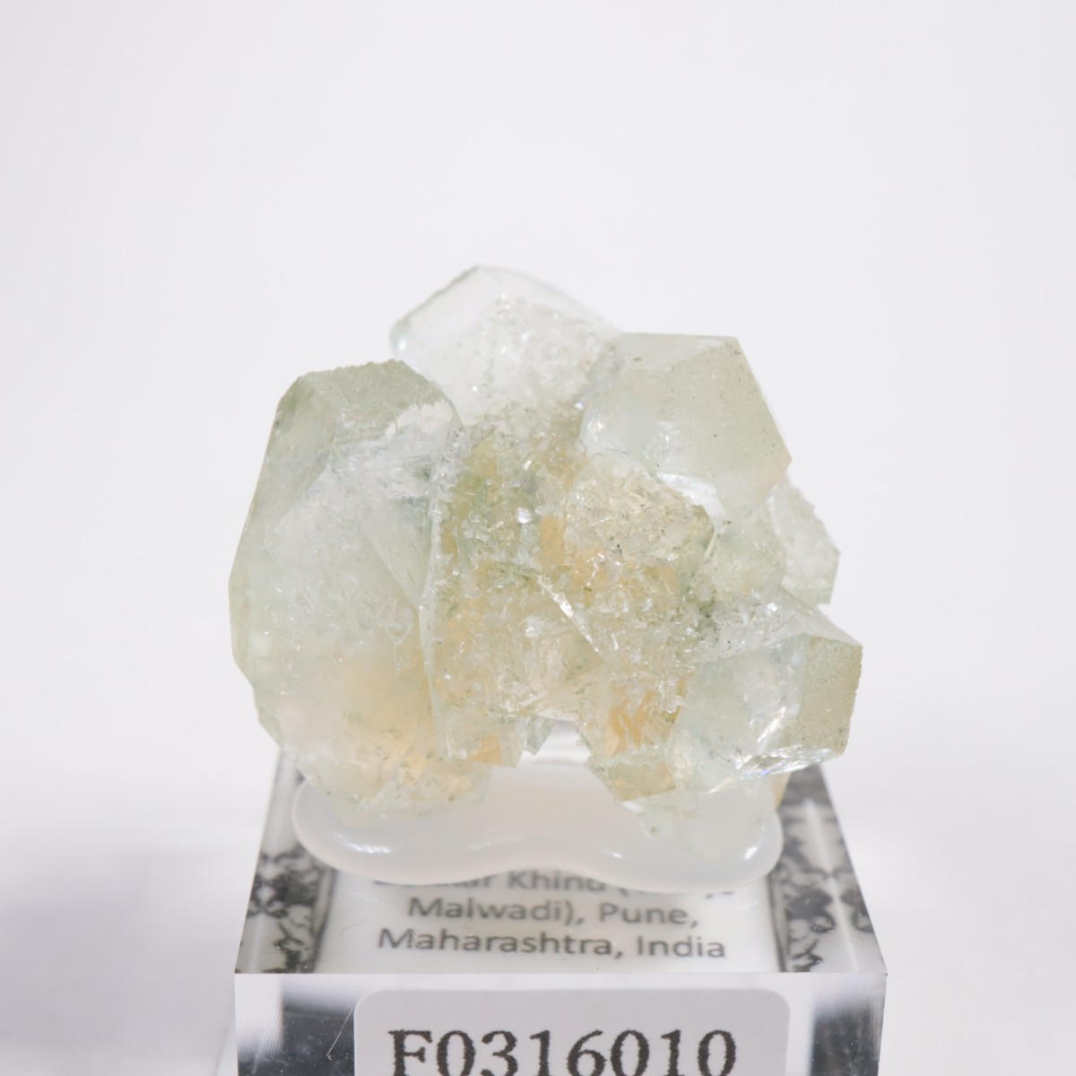 ����ɻ� ���ݥե��饤��