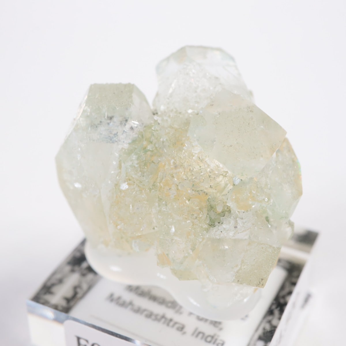 ����ɻ� ���ݥե��饤��