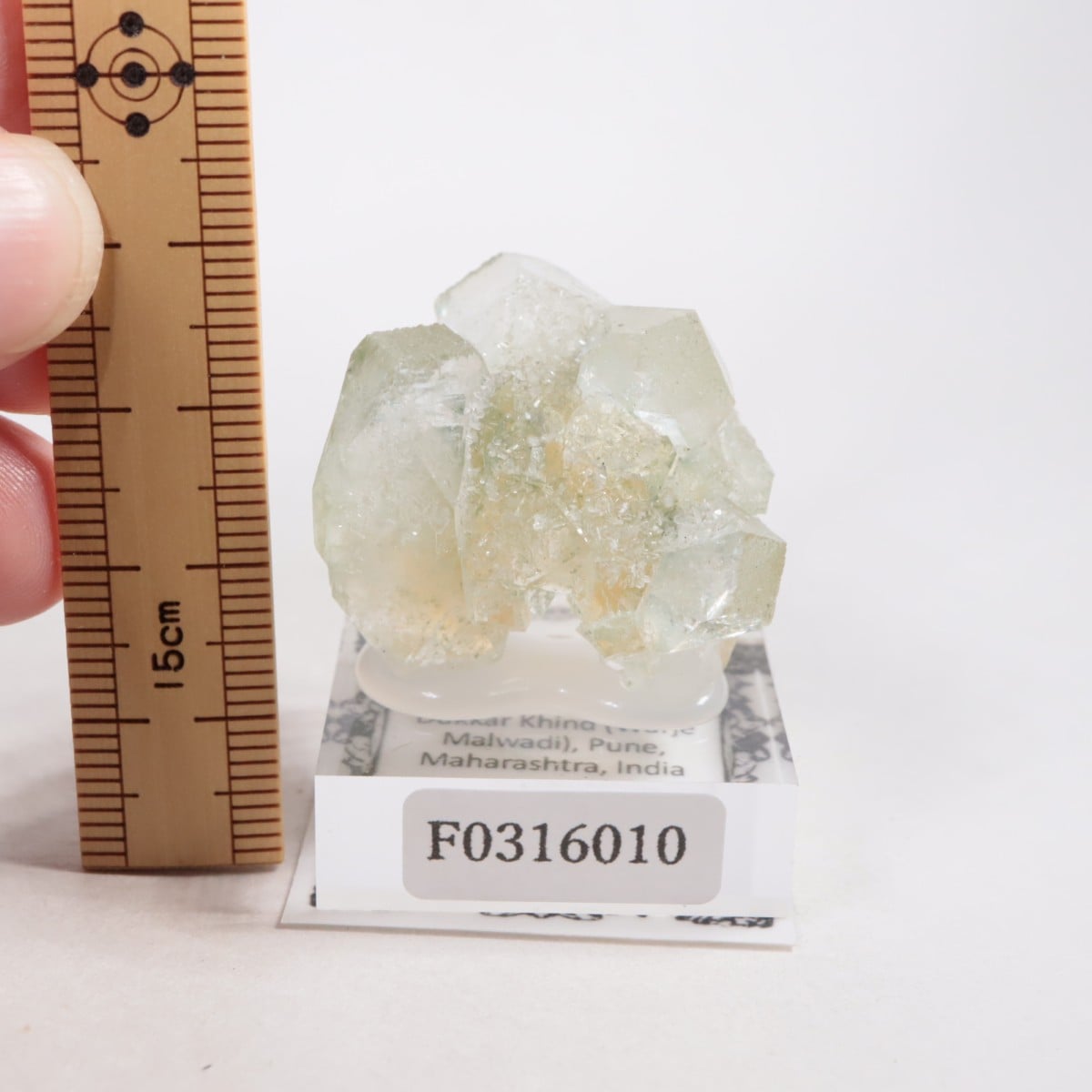 ����ɻ� ���ݥե��饤��