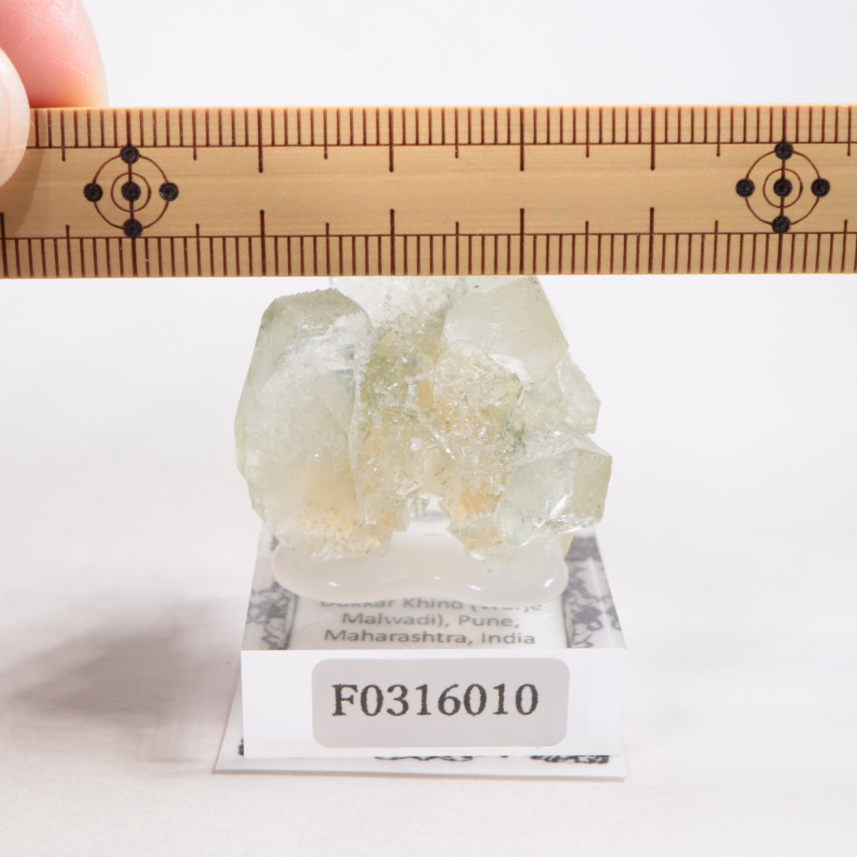 ����ɻ� ���ݥե��饤��