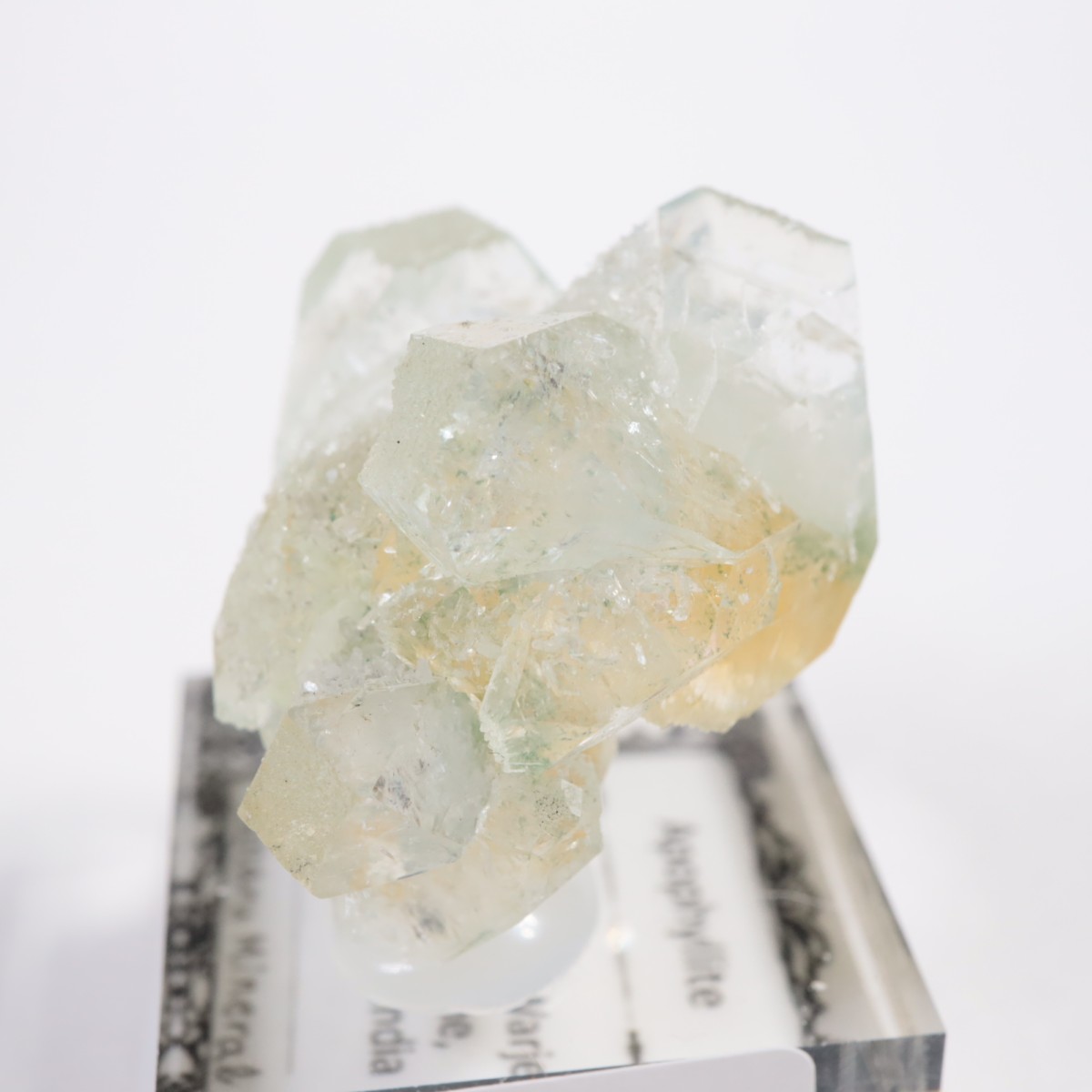 ����ɻ� ���ݥե��饤��