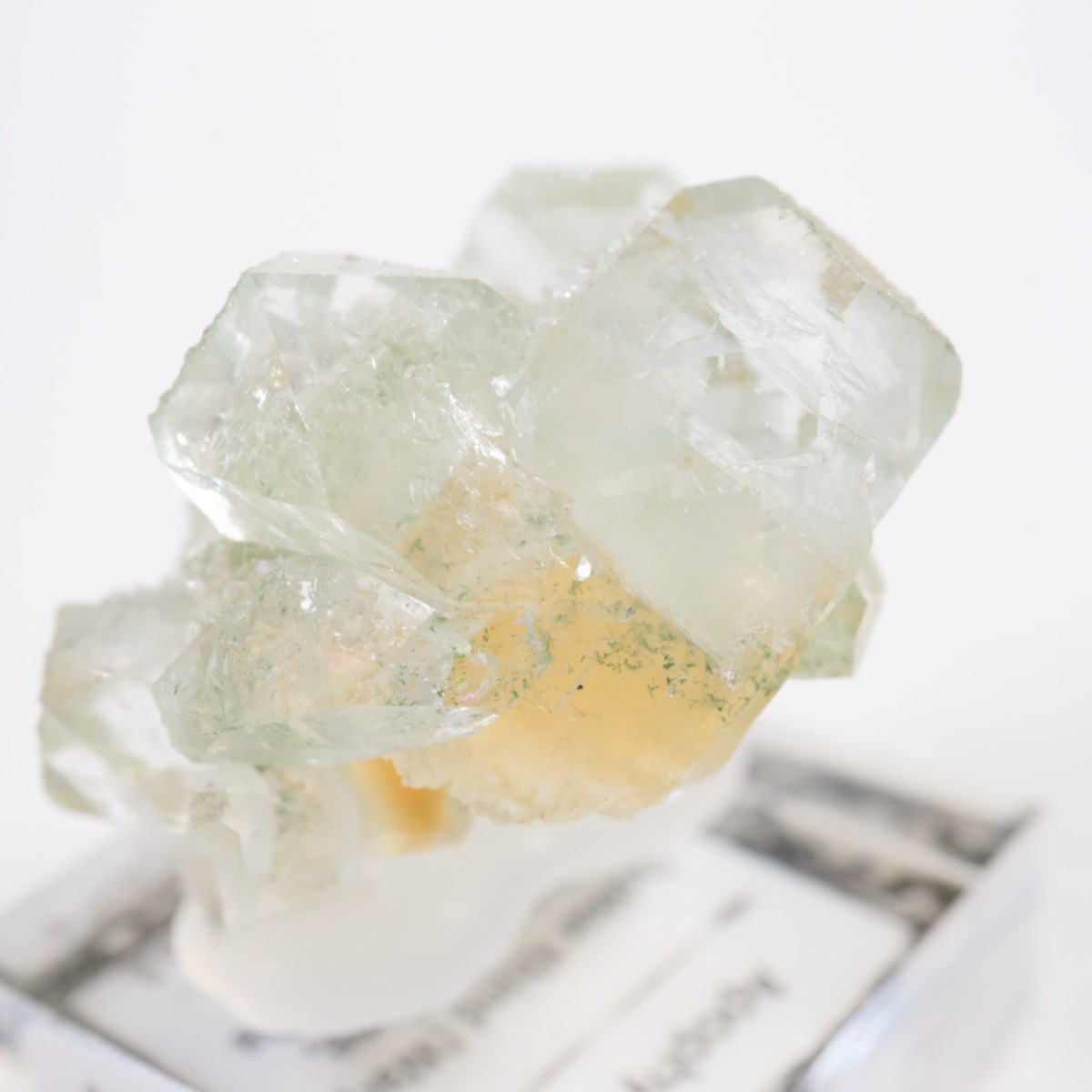 ����ɻ� ���ݥե��饤��