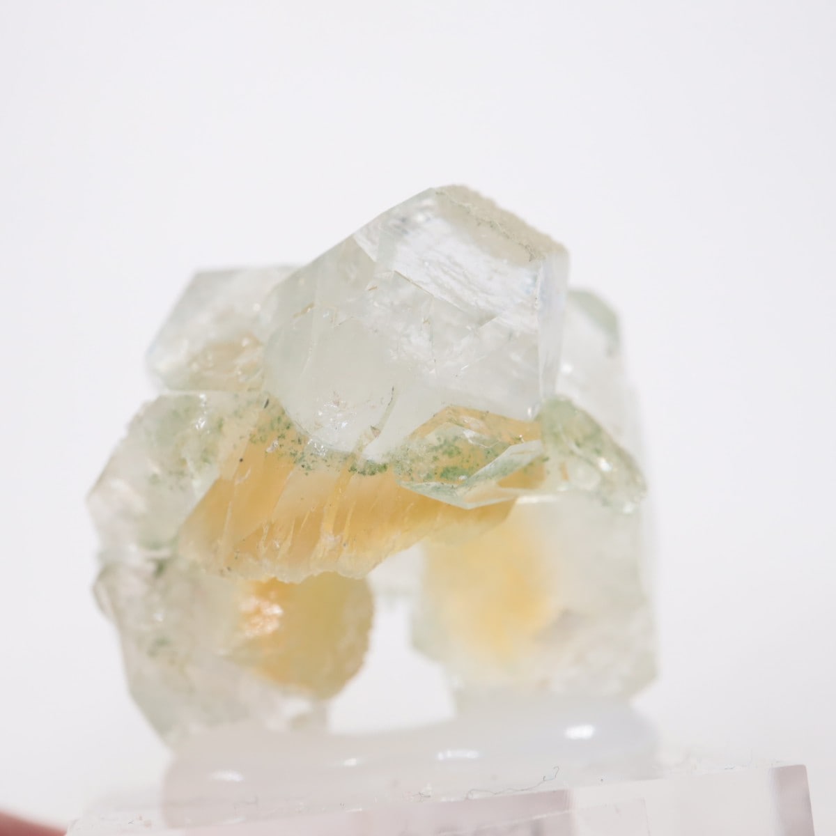 ����ɻ� ���ݥե��饤��