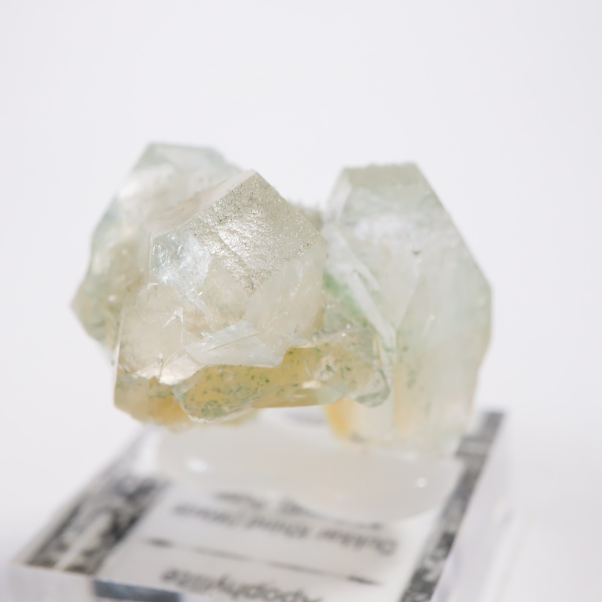 ����ɻ� ���ݥե��饤��