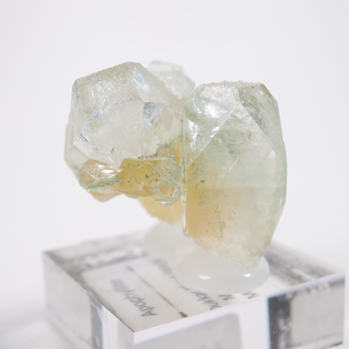 ����ɻ� ���ݥե��饤��